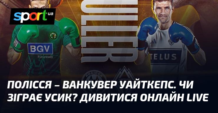 Полісся зустрічається з Ванкувером Уайткепс. Чи вийде Усик на ринг? Дивіться трансляцію в режимі LIVE!