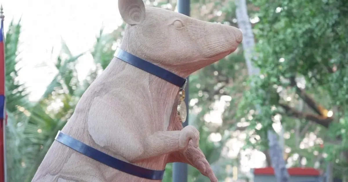 У Камбоджі встановили пам'ятник щуру, який допомагає у розмінуванні.