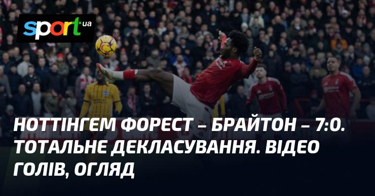 Ноттінгем Форест розгромив Брайтон з рахунком 7:0. Повна перевага на полі. Перегляньте відео з голами та огляд матчу.