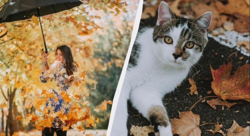 Уникайте трьох дій, інакше накличете неприємності: народні прикмети про свято 7 листопада 2025 року.