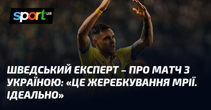 Шведський фахівець висловився про гру з Україною: 