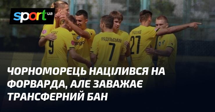 Чорноморець має намір підписати форварда, але йому заважає накладений трансферний бан.
