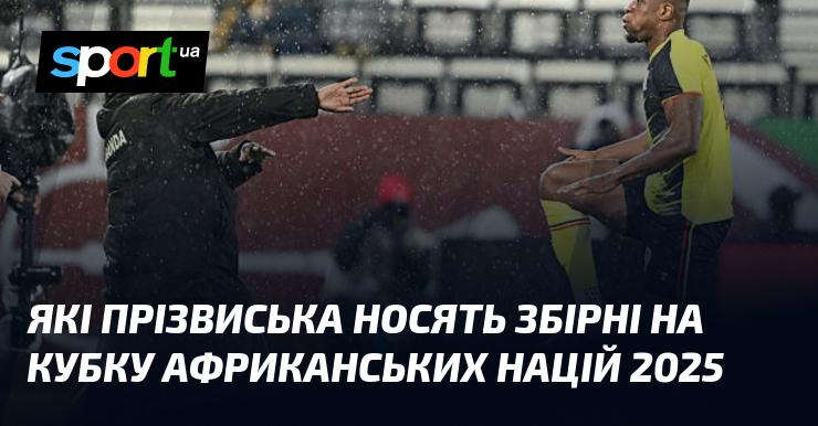 Які мізки використовують команди на Кубку африканських націй 2025 року?