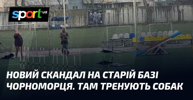 Новий інцидент на звичній території Чорноморця. Тепер там займаються дресируванням собак.