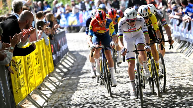 Погачар проти всіх: несподіване втілення Евенепула. Огляд Туру Фландрії-2026.