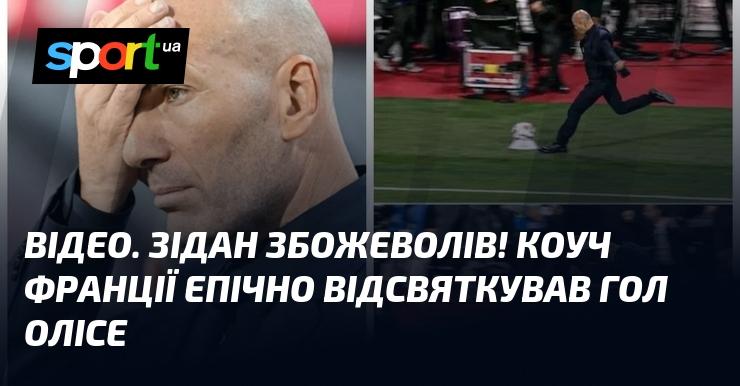 ВІДЕО. Зідан втратив голову від радості! Тренер збірної Франції неймовірно відреагував на гол Олісе.