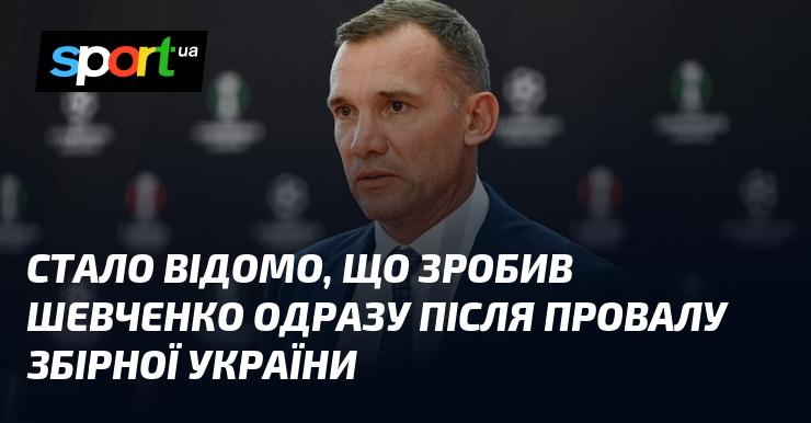 Стало відомо, які дії вжив Шевченко після невдачі української збірної.